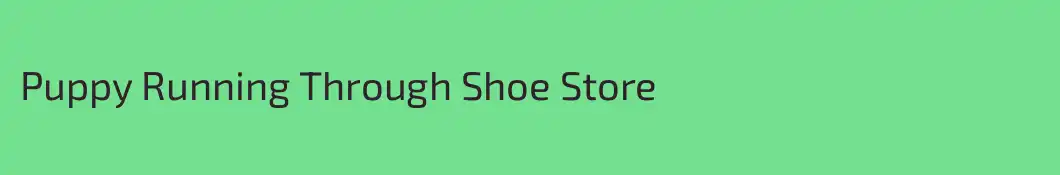 Puppy Running Through Shoe Store